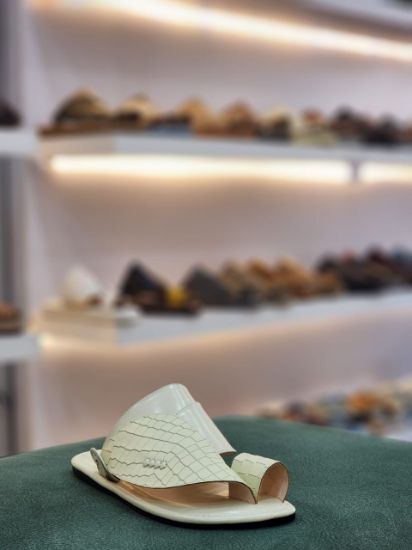 صورة شرقي نقش تمساح جلد طبيعي ارضيه مرنه ومنخفضه